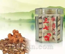 三七與兆升中藥飲片 散瘀止血、消腫定痛的傳統(tǒng)瑰寶