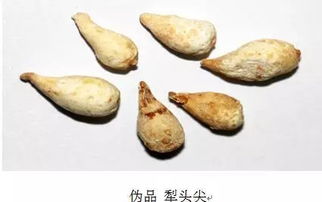 如何辨別中藥飲片質(zhì)量 從外觀到內(nèi)涵的鑒別指南