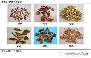 源和藥業(yè)（833379） 新渠道拓展與新產(chǎn)品布局，中藥飲片業(yè)務(wù)增長(zhǎng)可期